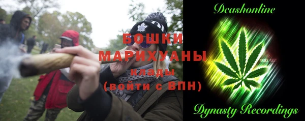 МДПВ Верхний Тагил