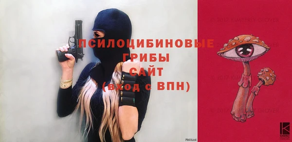 МДПВ Верхний Тагил