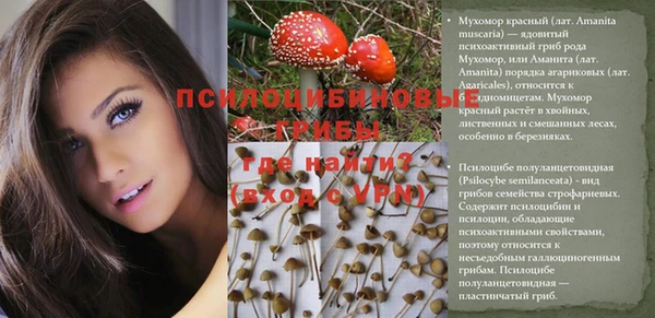 МДПВ Верхний Тагил