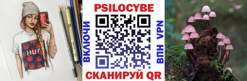 mega ссылка  Владикавказ  Псилоцибиновые грибы Psilocybe  где можно купить наркотик 